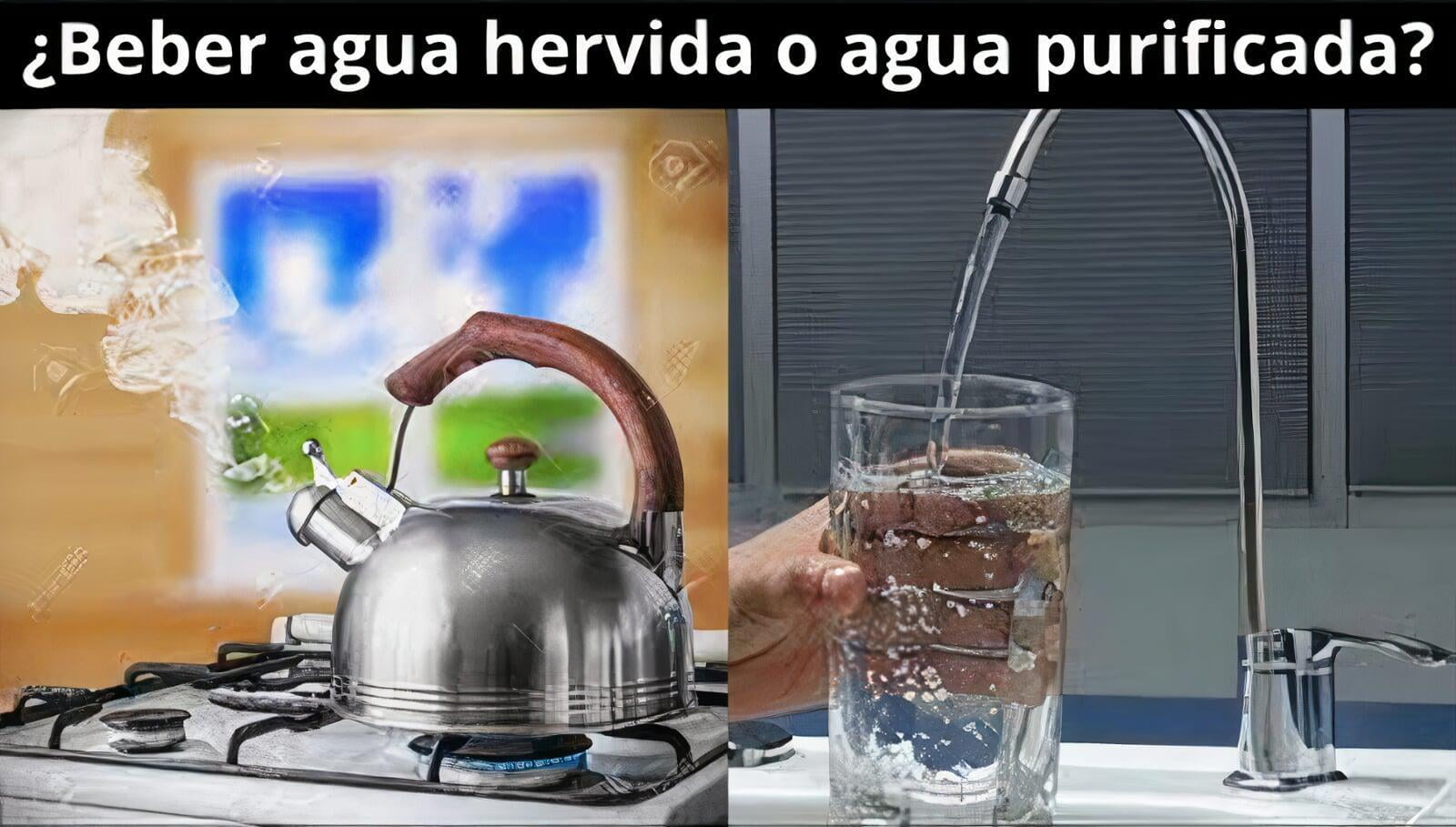 ¿Beber Agua Hervida o Agua Purificada?